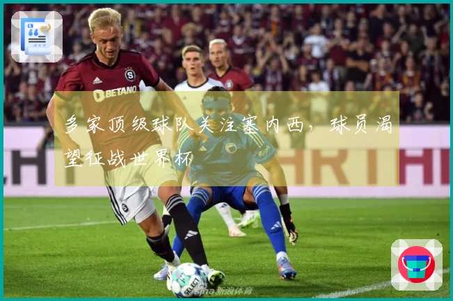 多家顶级球队关注塞内西，球员渴望征战世界杯