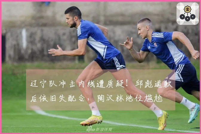 辽宁队冲击内线遭质疑！邱彪道歉后依旧失配合，陶汉林地位尴尬