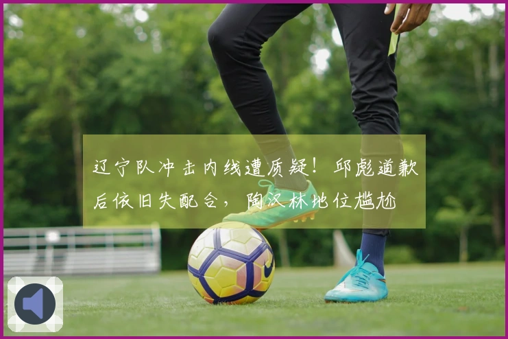 辽宁队冲击内线遭质疑！邱彪道歉后依旧失配合，陶汉林地位尴尬