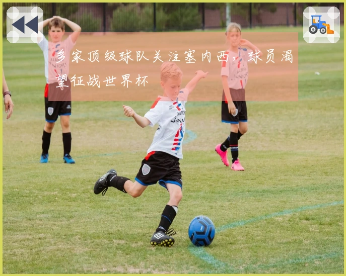 多家顶级球队关注塞内西，球员渴望征战世界杯